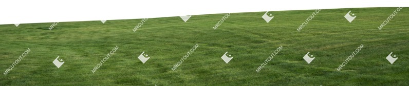 Grass cut out foreground png (7551)