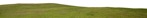 Grass cut out foreground png (8238) - miniature