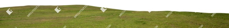 Grass cut out foreground png (8186)
