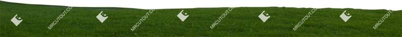 Grass cut out foreground png (8126)