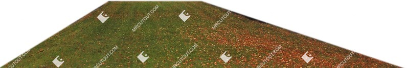 Grass png foreground cut out (8343)