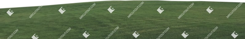 Grass field png foreground cut out (7761)