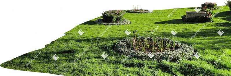 Grass other foreground png foreground cut out (6828)