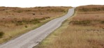 Grass road field png foreground cut out (6747) - miniature
