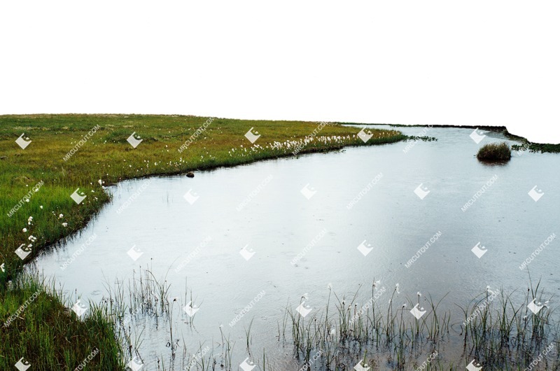 Grass water cut out foreground png (6636)