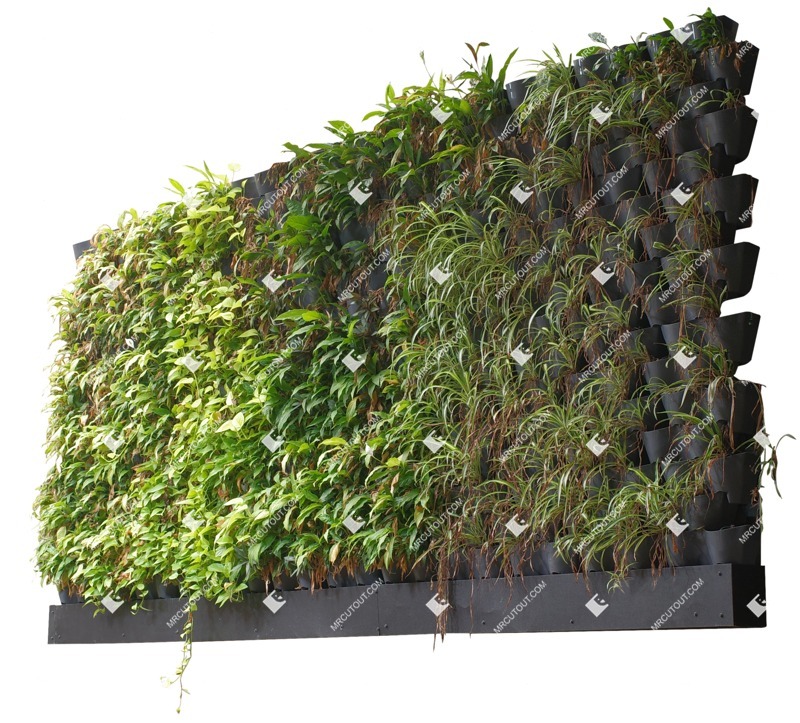 Png green wall png vegetation (17768)