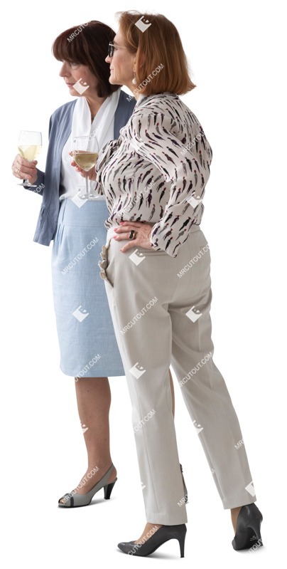 Group of friends drinking wine cut out pictures (14357)