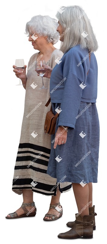 Group of friends drinking wine person png (15828)