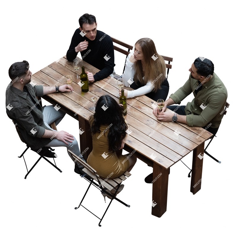 Group of friends drinking wine entourage people (17142)