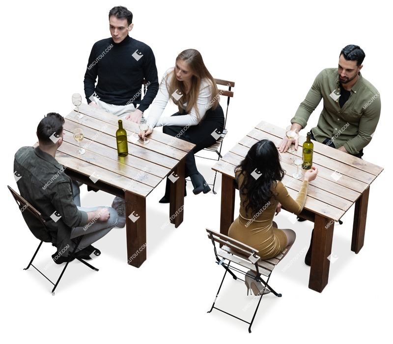 Group of friends drinking wine entourage people (17143)