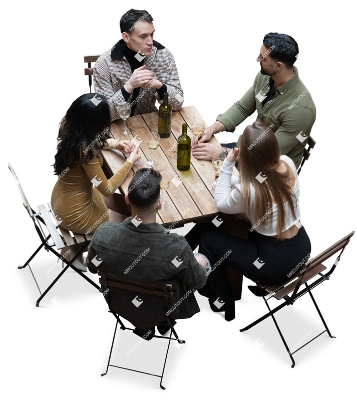 Group of friends drinking wine entourage people (16639)