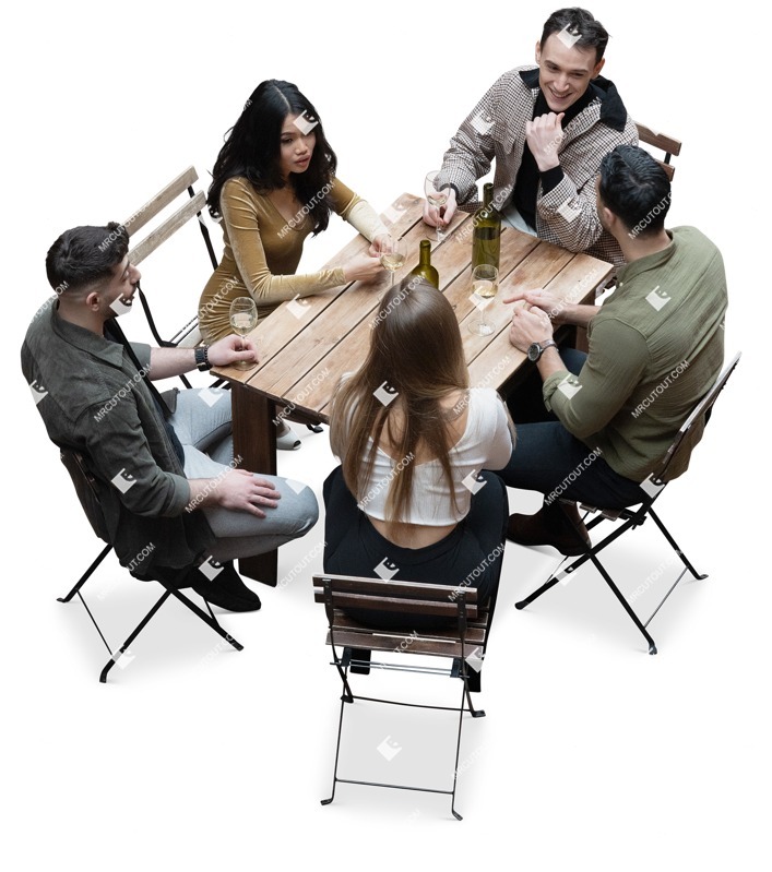 Group of friends drinking wine entourage people (17144)