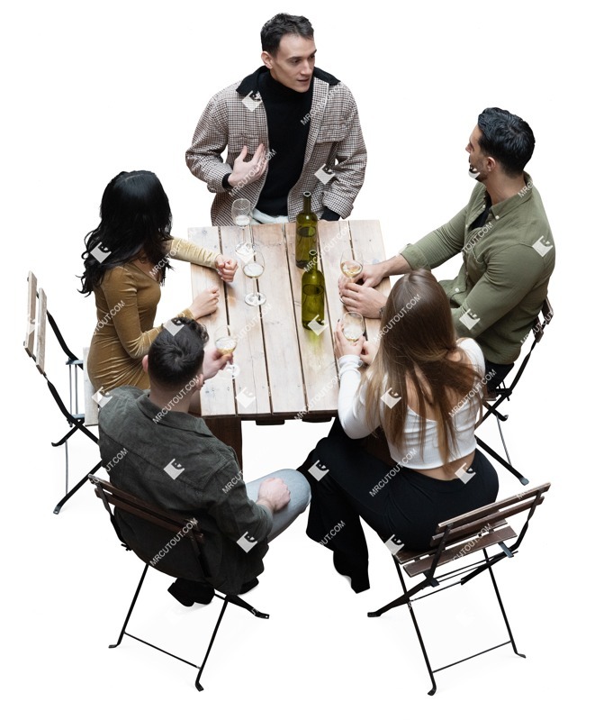 Group of friends drinking wine person png (16638)