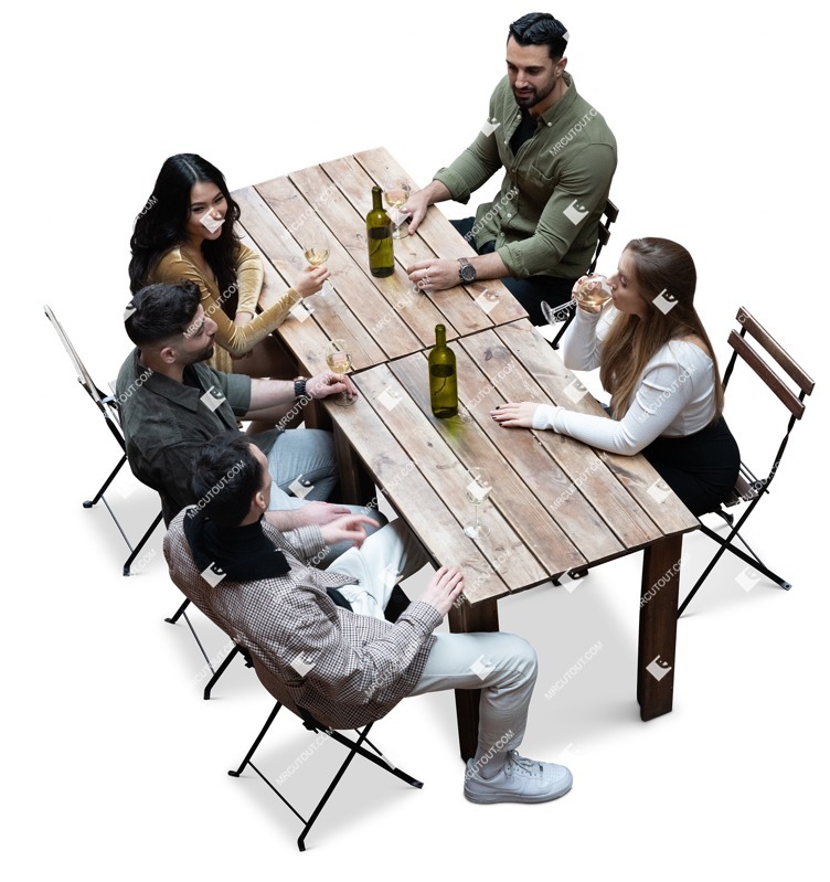 Group of friends drinking wine person png (16640)