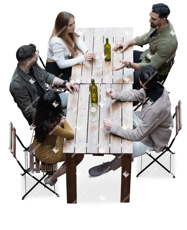 Group of friends drinking wine person png (16598)