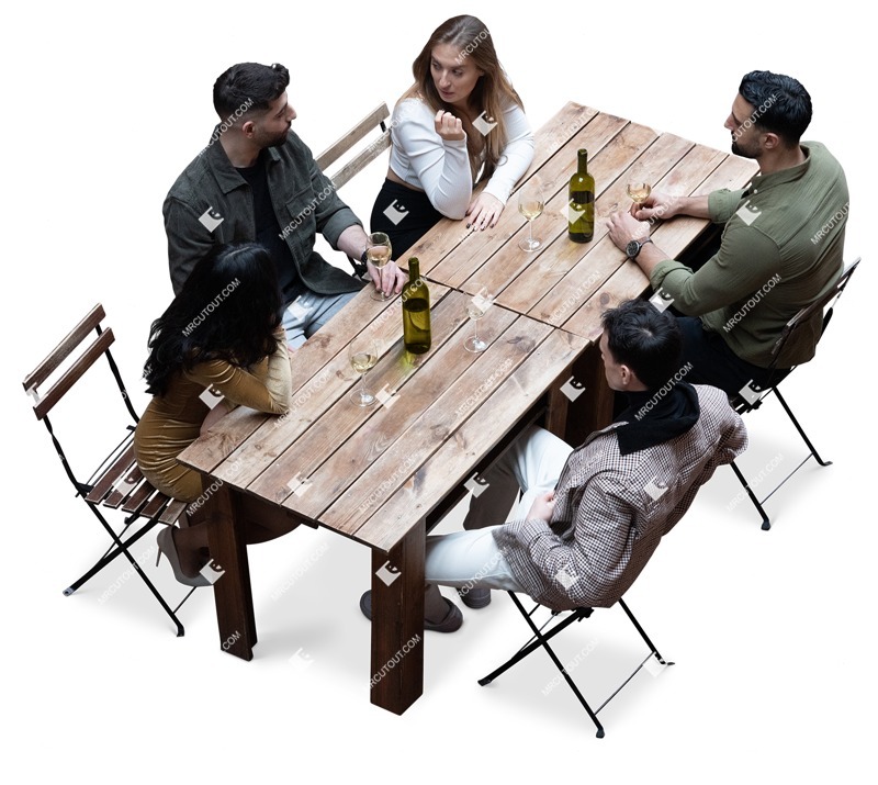 Group of friends drinking wine person png (16596)