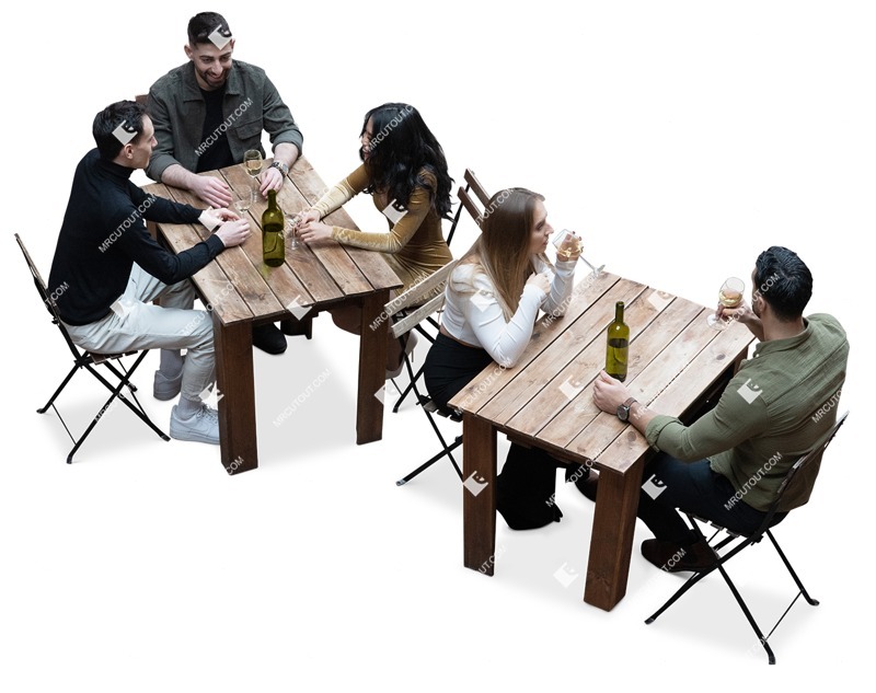 Group of friends drinking wine person png (16597)