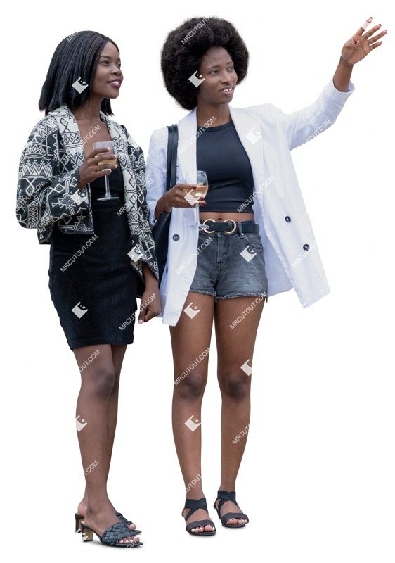 Group of friends drinking wine person png (19804)