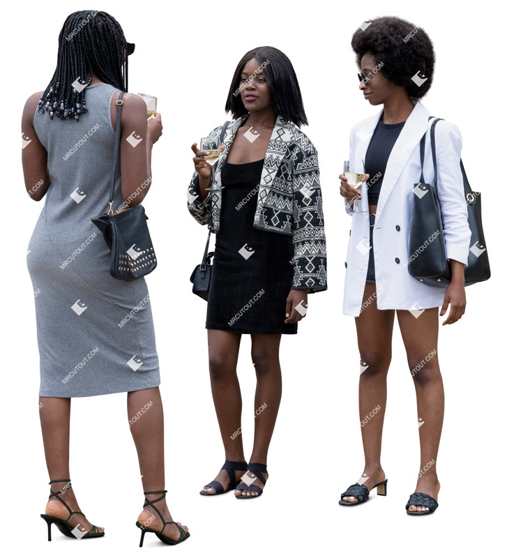 Group of friends drinking wine cut out people (20129)