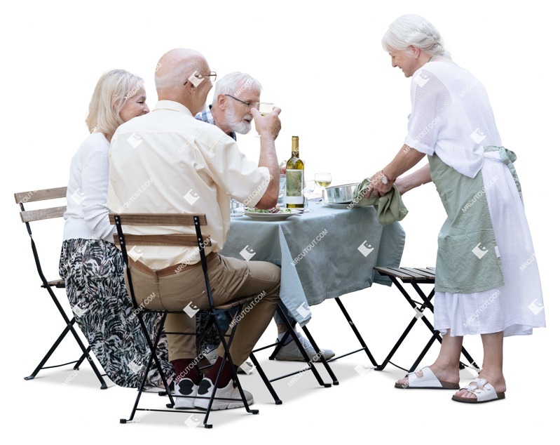 Group of friends drinking wine cut out people (17812)