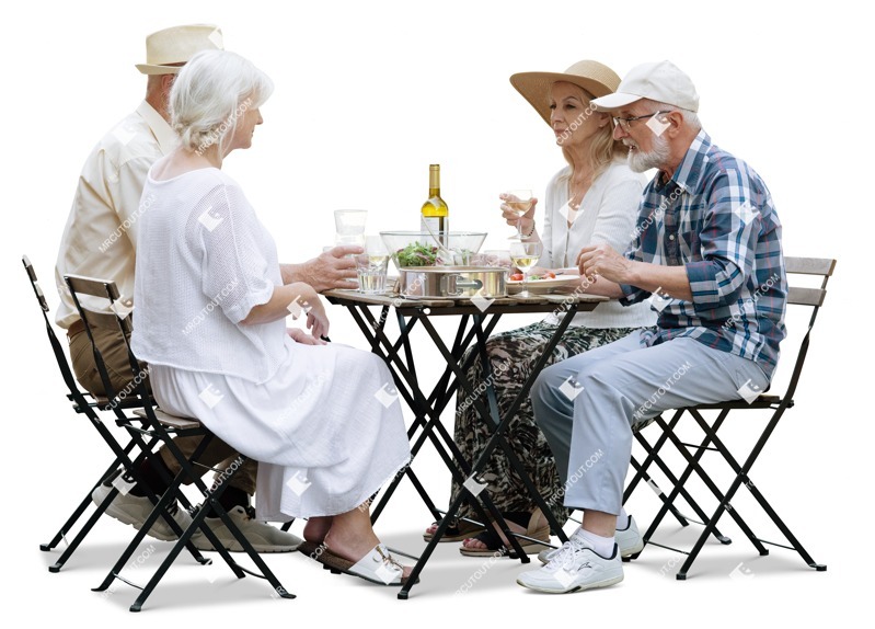 Group of friends drinking wine cut out people (18647)