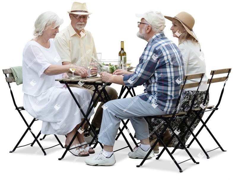 Group of friends drinking wine cut out people (18295)