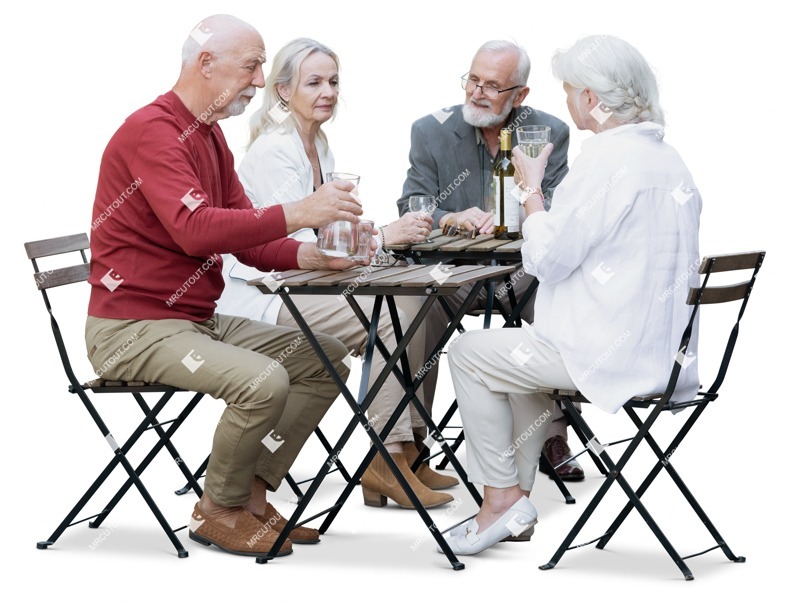 Group of friends drinking wine people png (17493)