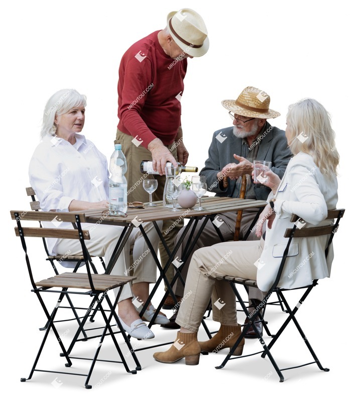 Group of friends drinking wine people png (17494)
