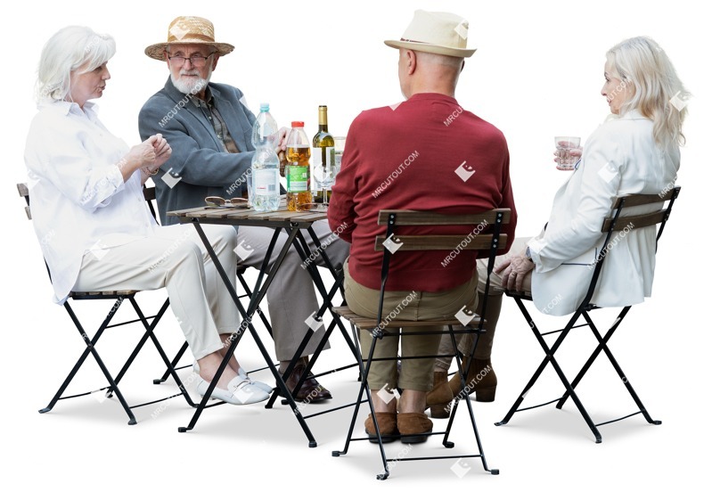 Group of friends drinking wine people png (17492)