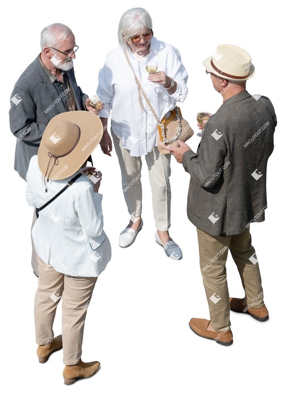 Group of friends drinking wine people png (18285)