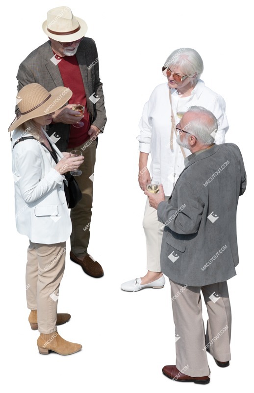 Group of friends drinking wine people png (18284)