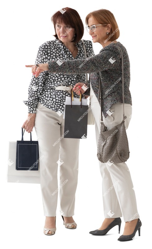 Group of friends shopping people png (15111)