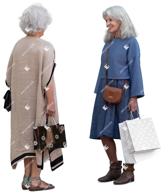 Group of friends shopping people png (15457)