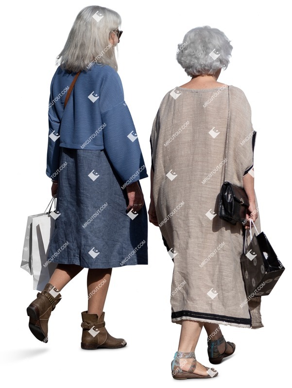 Group of friends shopping entourage people (14445)