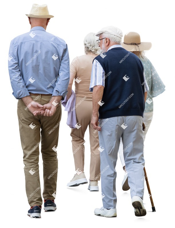 Group of friends walking entourage people (18288)