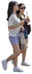 Group of friends walking  (7923) - miniature