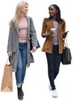 Friends walking two women shopping on an autumn day - miniature