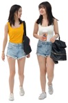 Cut out people - Group Of Teenagers Walking 0012 | MrCutout.com - miniature
