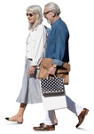 Group shopping  (16372) - miniature