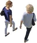 Group walking  (3580) - miniature