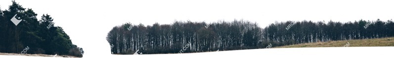 Hills trees cut out background png (5491)