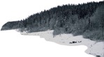 Hills trees png background cut out (5515) - miniature