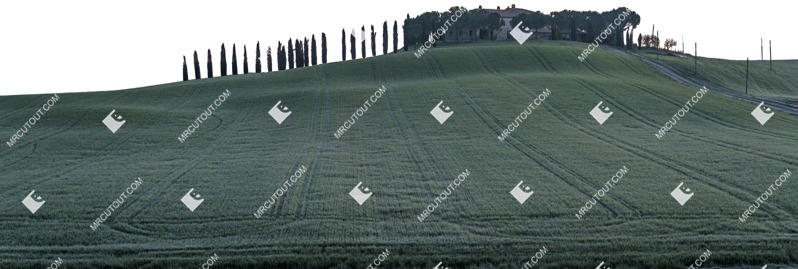 Hills trees fields png background cut out (5479)