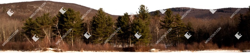 Mountains trees png background cut out (5640)