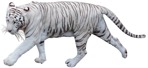 Other animal cut out animal png (4126) - miniature