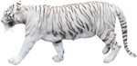 Other animal png animal cut out (4962) - miniature
