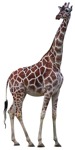 Other animal png animal cut out (7500) - miniature