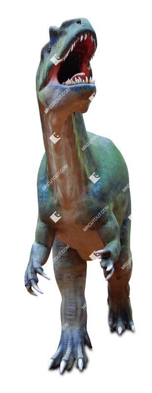 Other animal png animal cut out (8232)