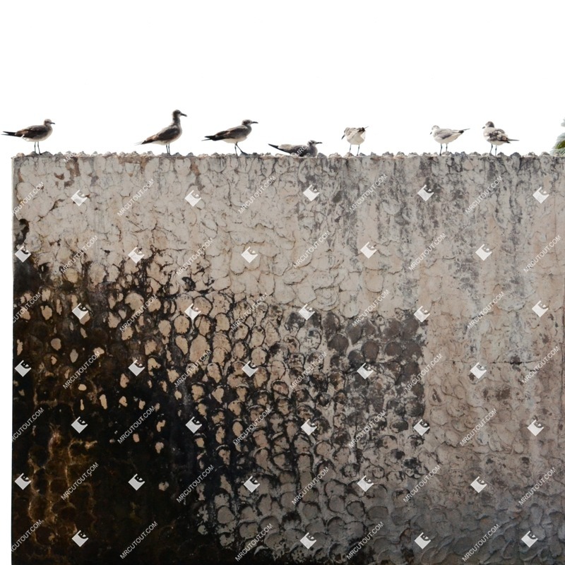 Other foreground png foreground cut out (1359)