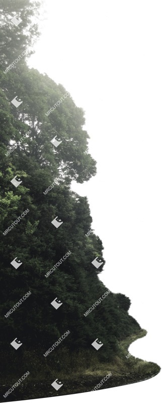 Other foreground png foreground cut out (5477)